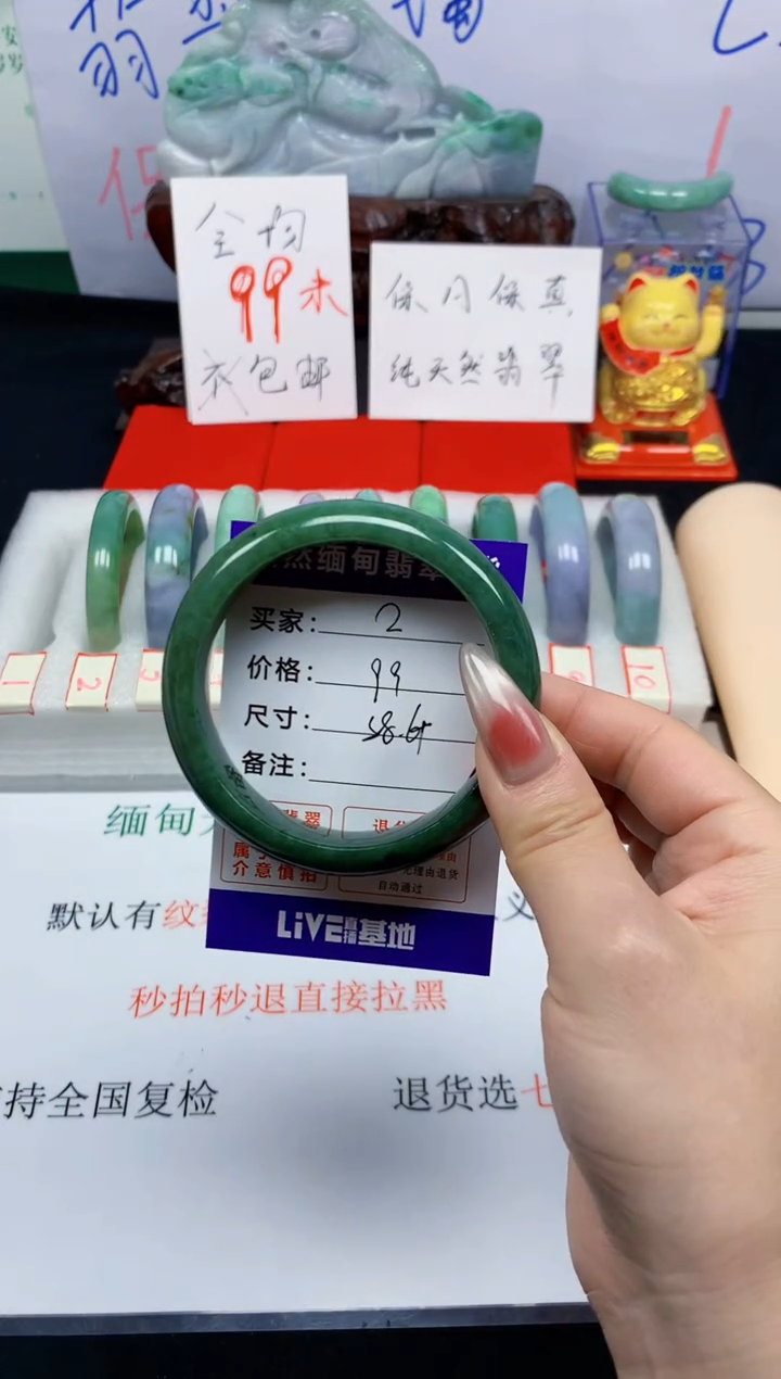 未镶嵌手镯翡翠2