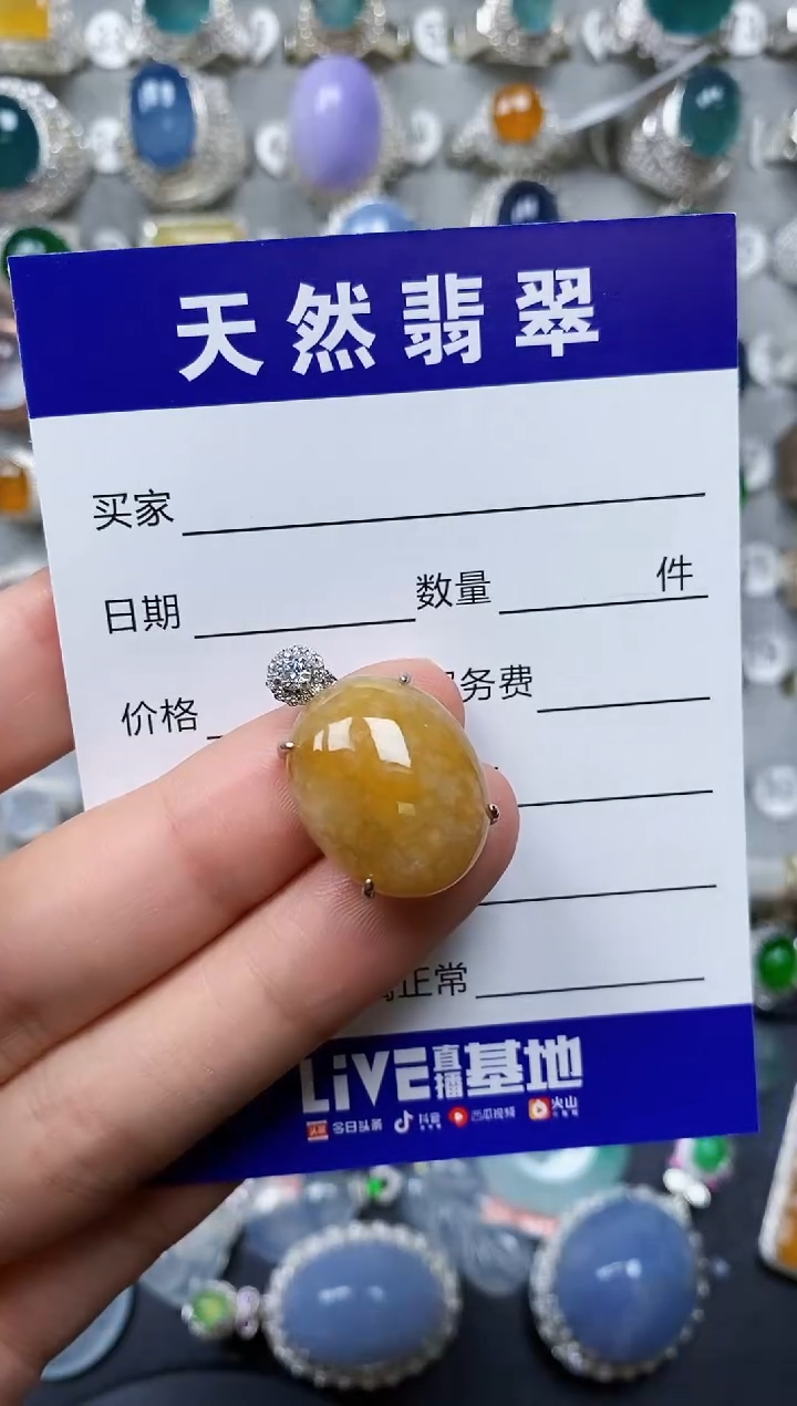【闪购商品】翡翠颈饰银S925镶嵌0494
