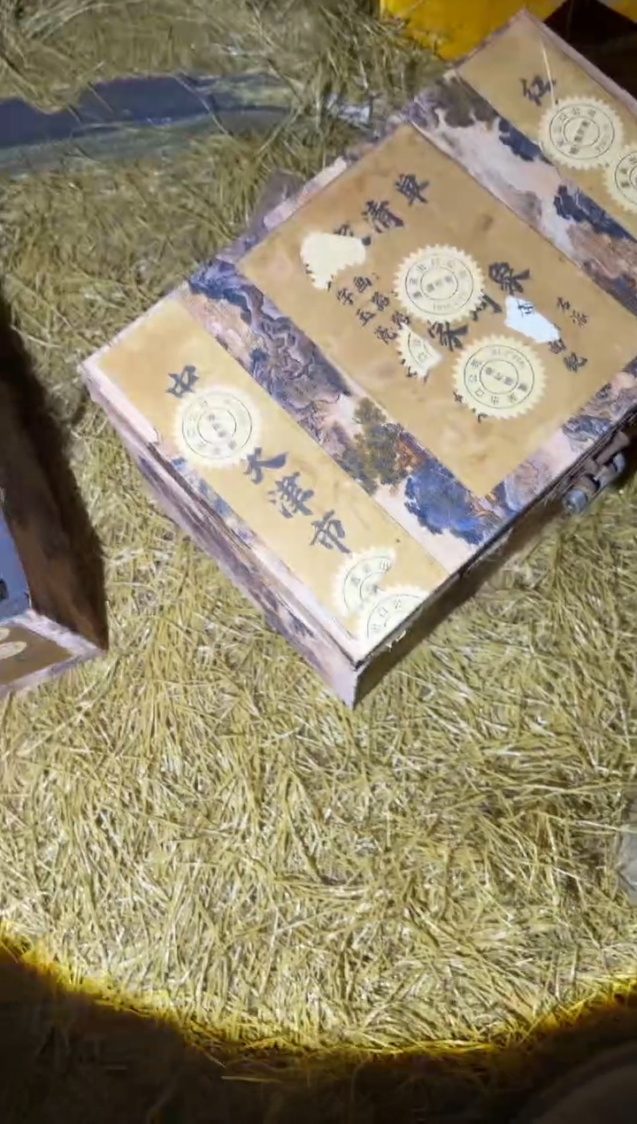 木木木木木木木木