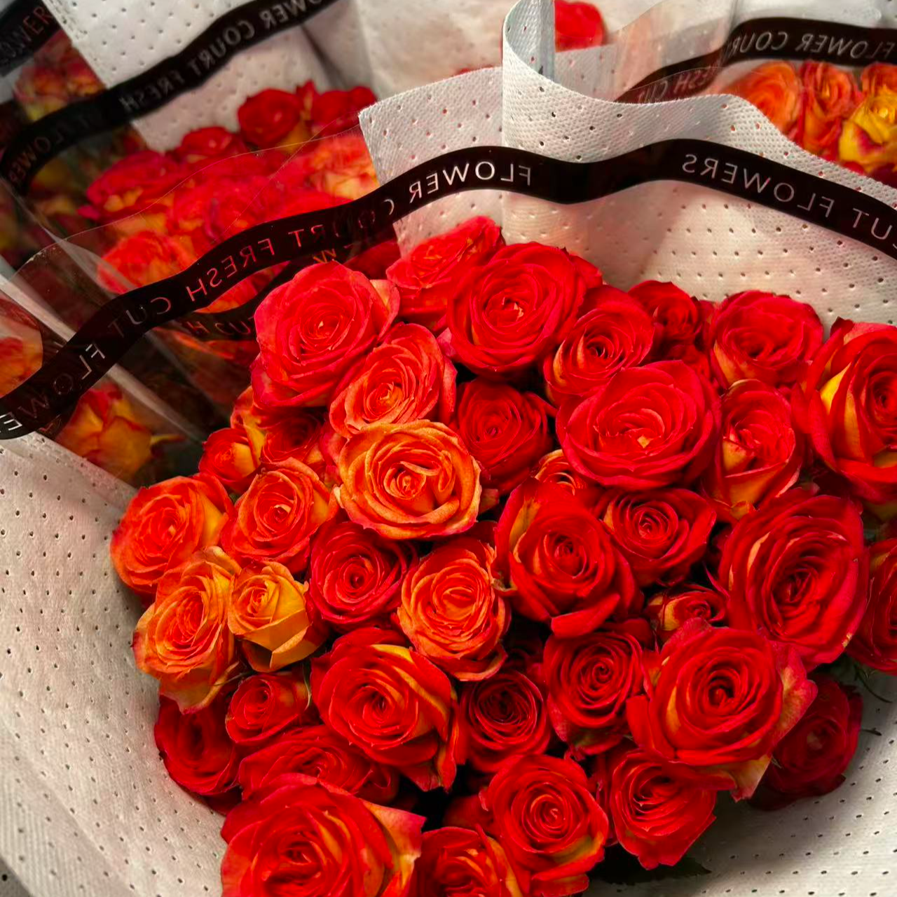 爱丽丝多头玫瑰  5枝