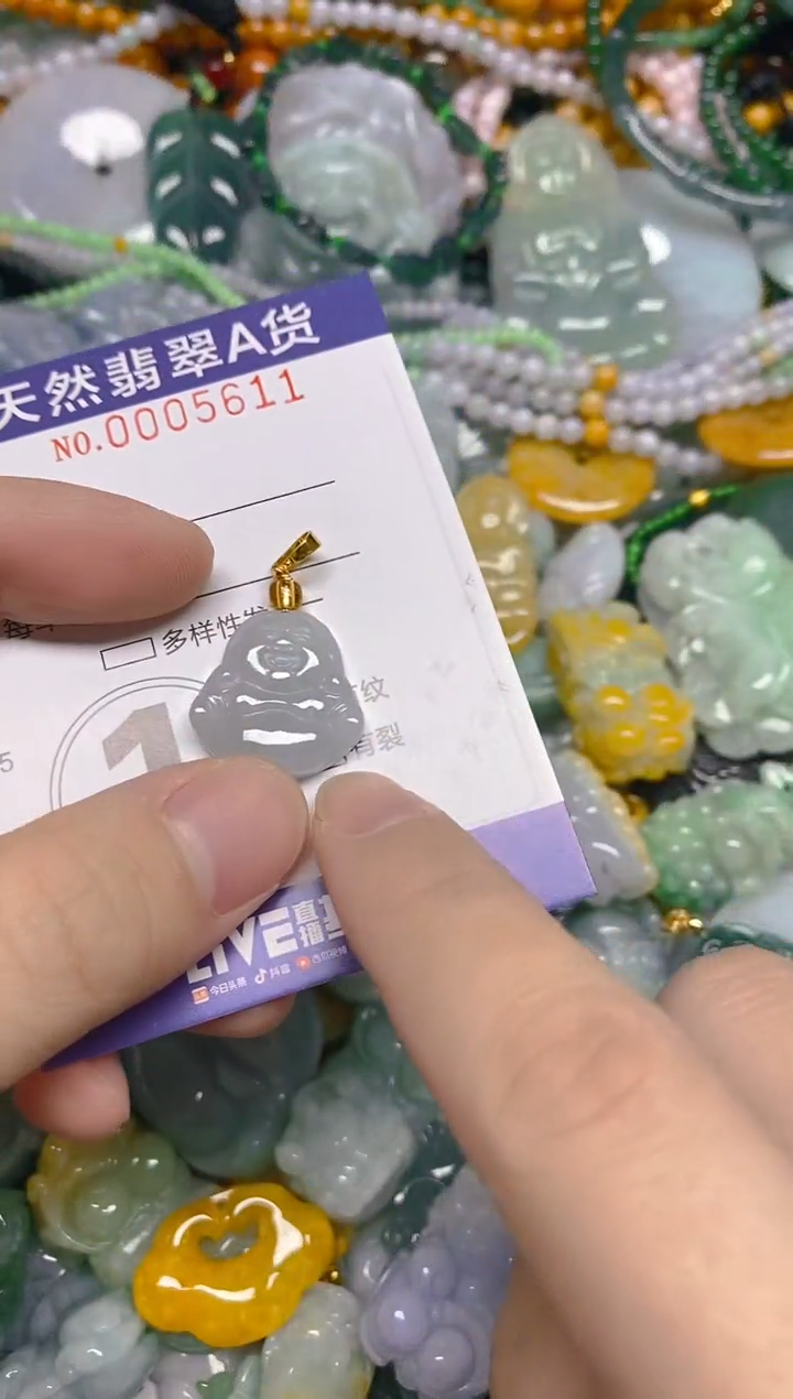 颈饰未镶嵌翡翠0005611多样性发其一