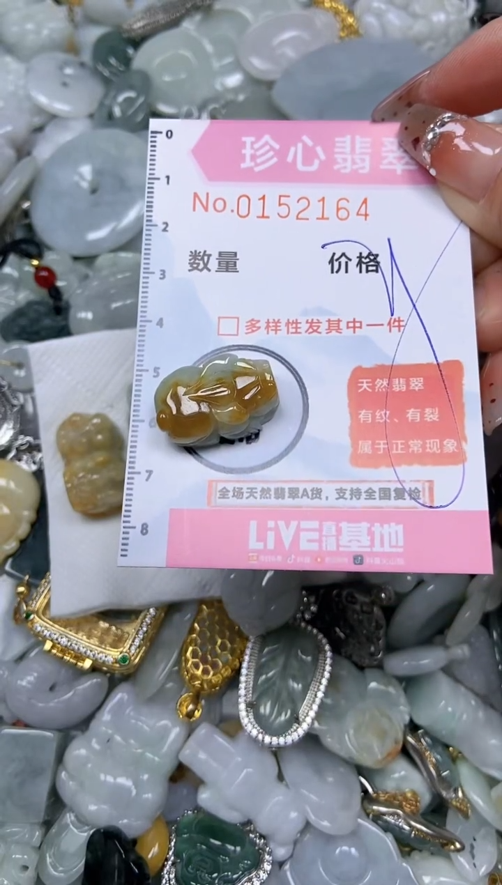 【闪购商品】翡翠颈饰未镶嵌闪购链接0152164