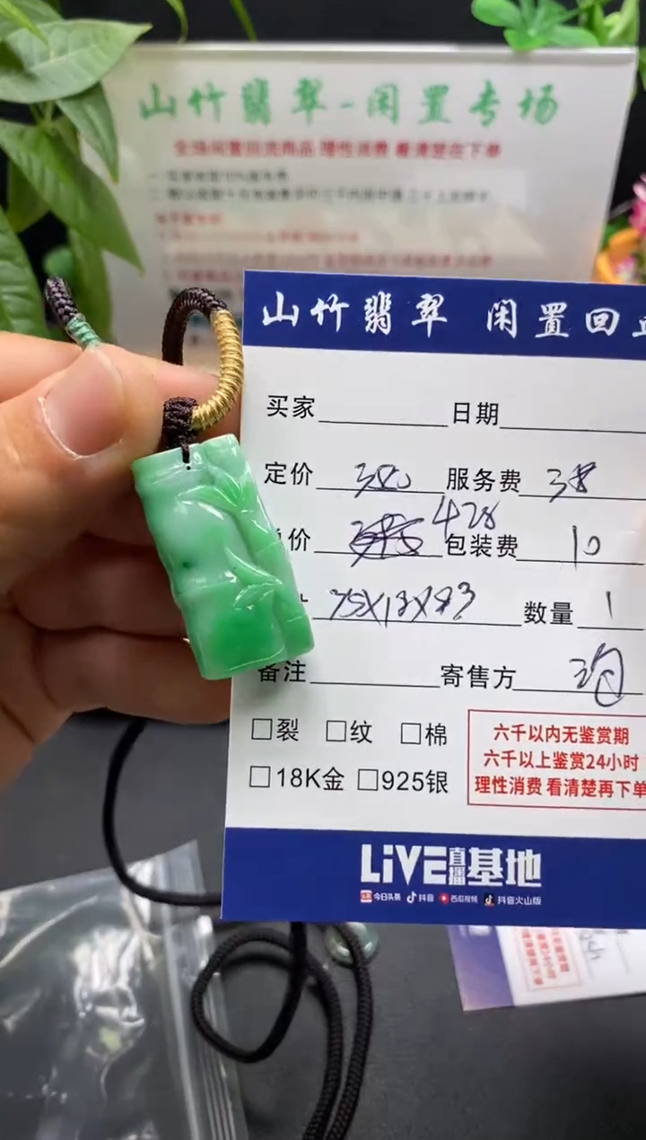 颈饰未镶嵌翡翠3001965