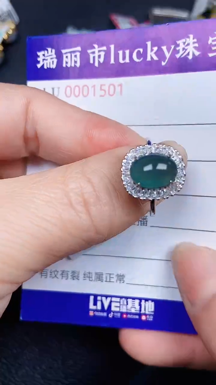 颈饰银S925镶嵌翡翠1501