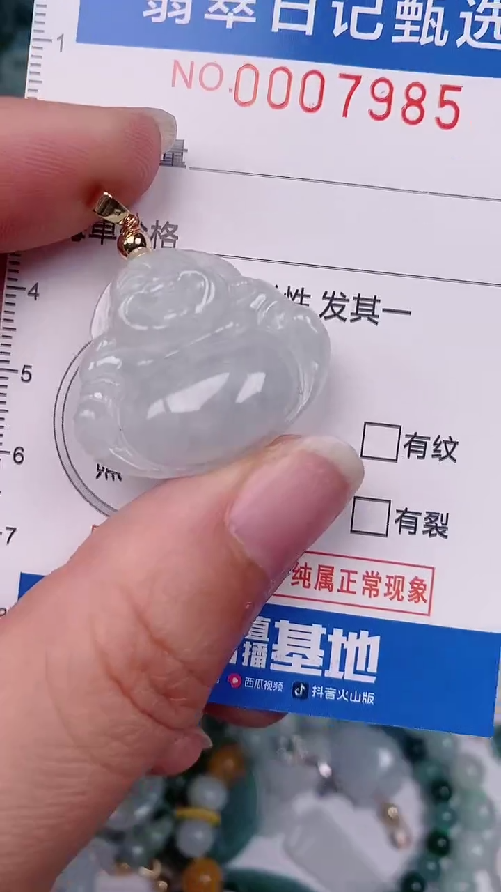 【闪购商品】翡翠颈饰未镶嵌00007985