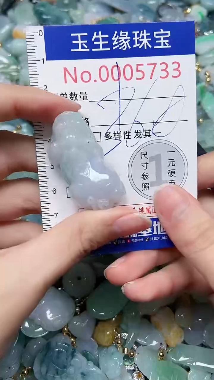 【闪购商品】翡翠颈饰未镶嵌闪购00005733