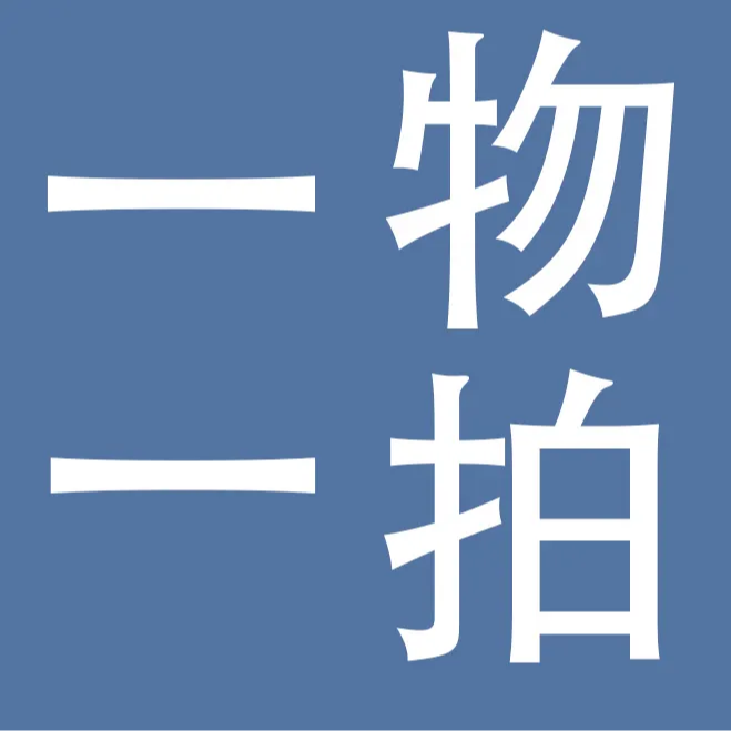 一物一拍盆栽地栽柿子树神州租车