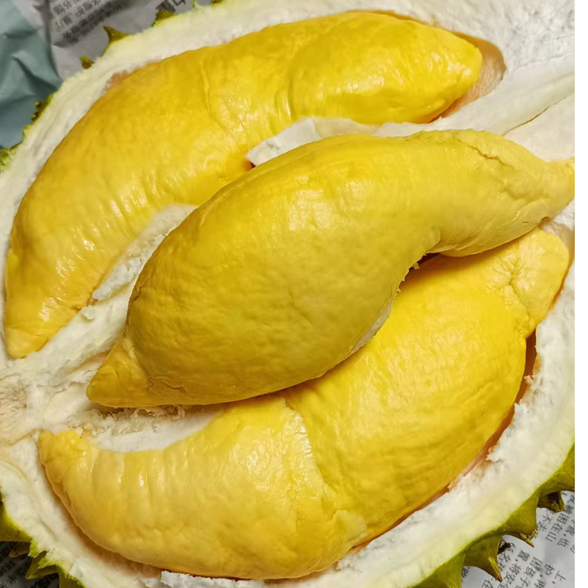 【乘风破浪榴莲纯果肉拼盘】新鲜空运马来西亚猫山王+甘榜+干尧g核大猫山王干尧甘榜马来西亚