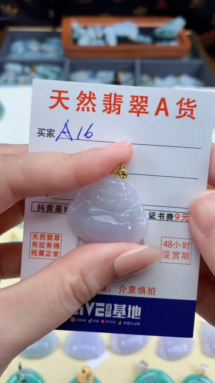 颈饰未镶嵌翡翠天然A货翡翠挂件