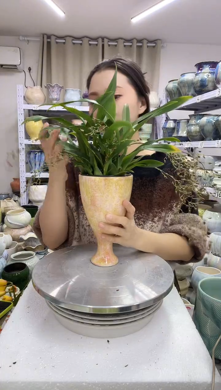 【12.22】花盆链接 高： 20 口：11