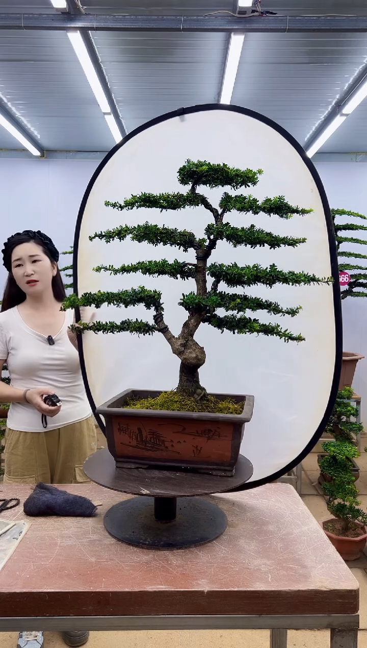 无花朵一物一拍，所见即所得