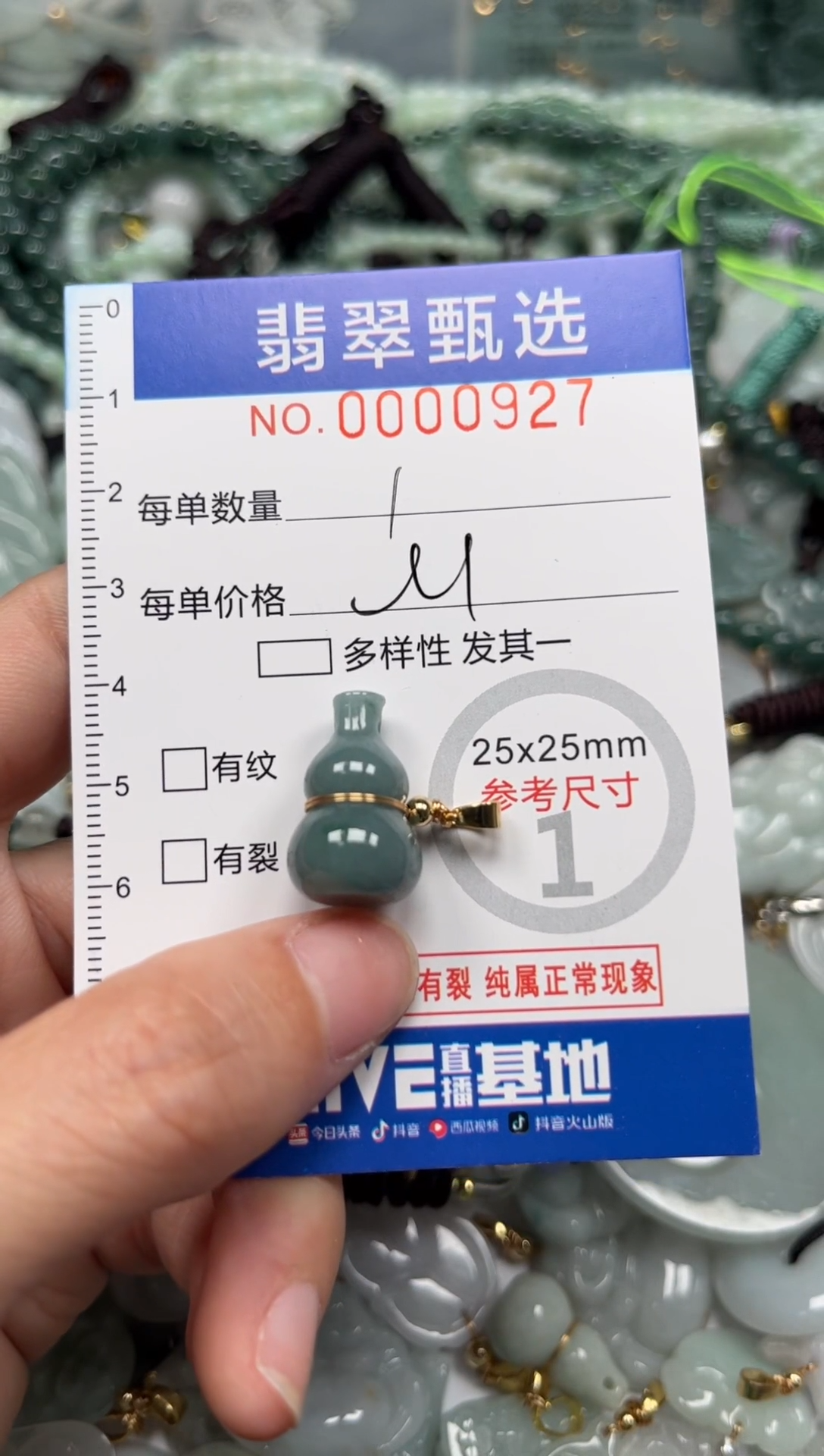 【闪购商品】翡翠颈饰未镶嵌00..0927