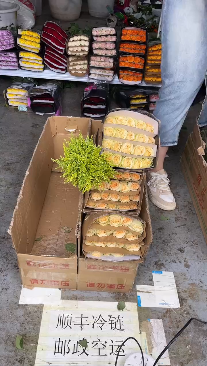 香槟60枝+黄莺                        
