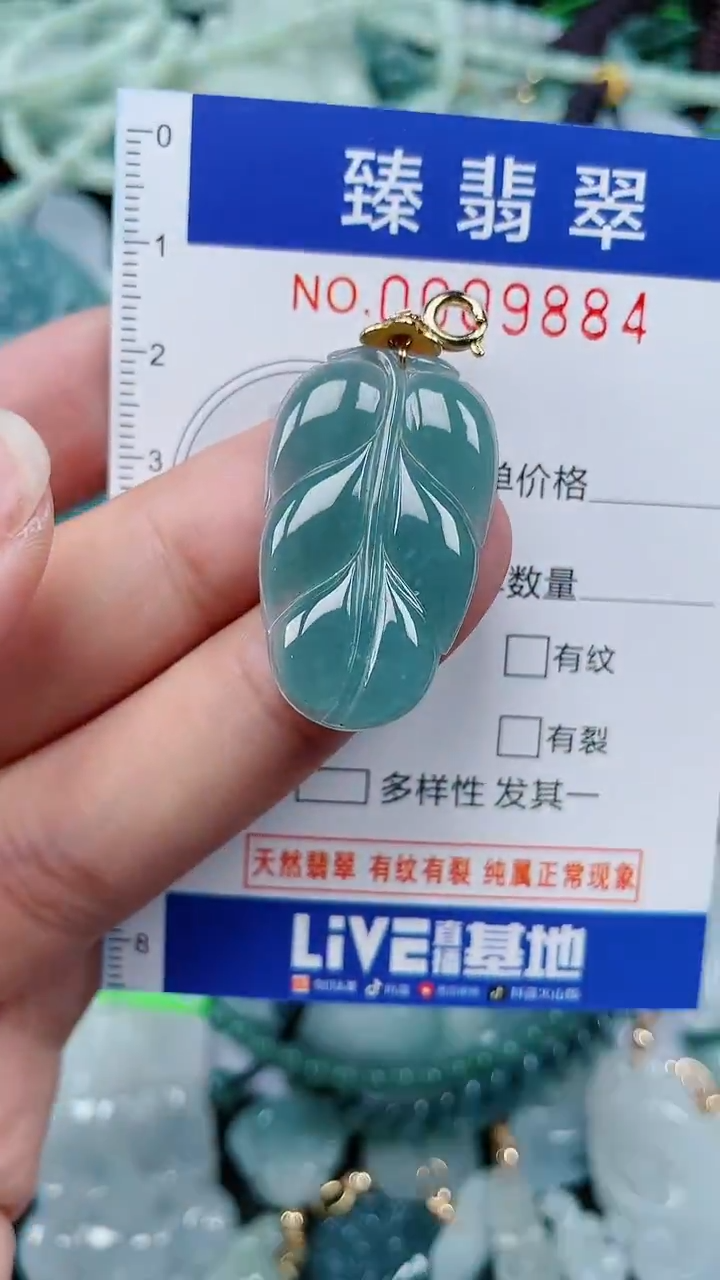 颈饰未镶嵌翡翠.0009884