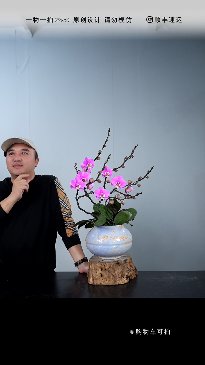 【闪购商品】024号链接【一物一拍】艺术盆景