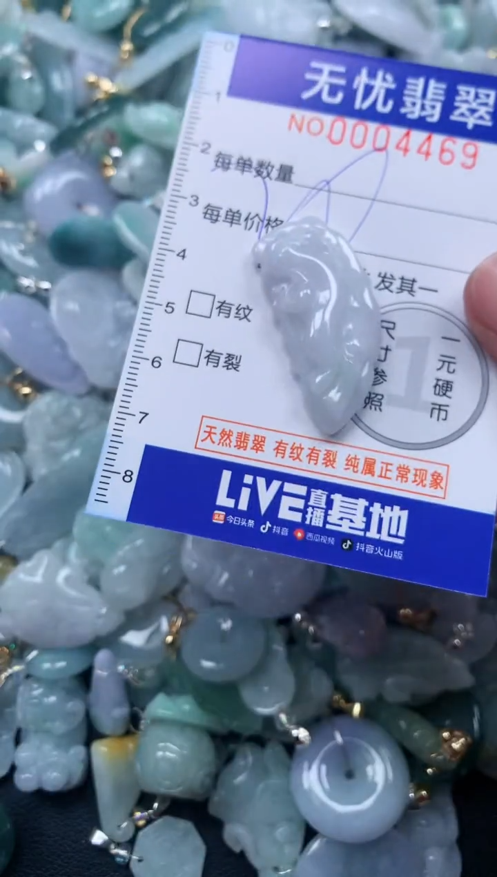 颈饰未镶嵌翡翠4469