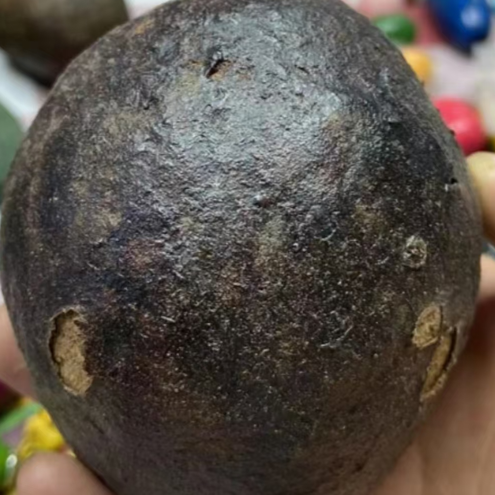 2号大果油果老果狠货