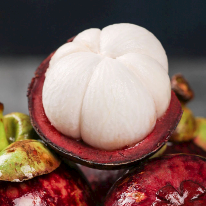 泰国山竹老树山竹