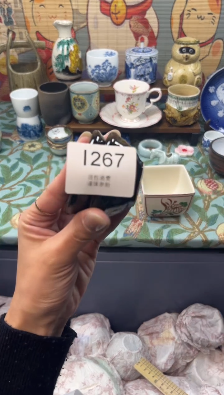 瓷片颖     I267