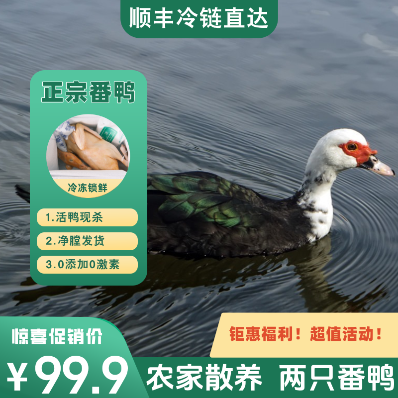 【到手两只】农家山塘放养土番鸭 2只净膛9-10斤 青年鸭无瘤 顺丰冷链直达