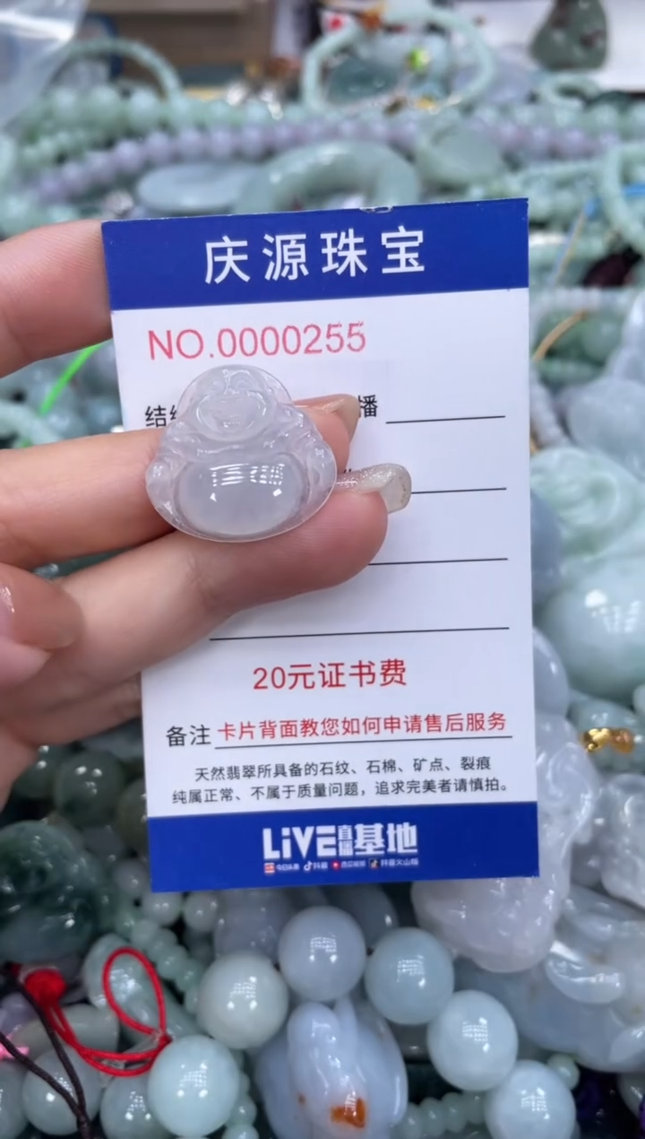 翡翠未镶嵌颈饰242