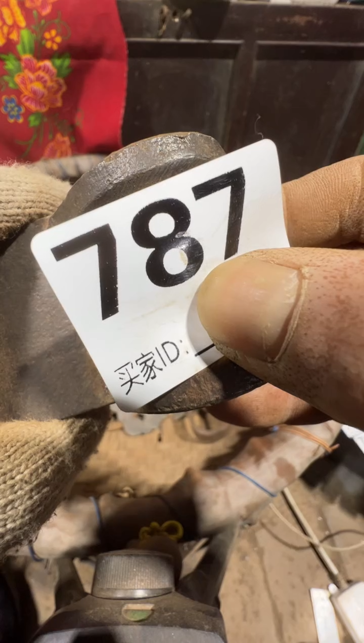 早**辉08180老王直播间专属链接