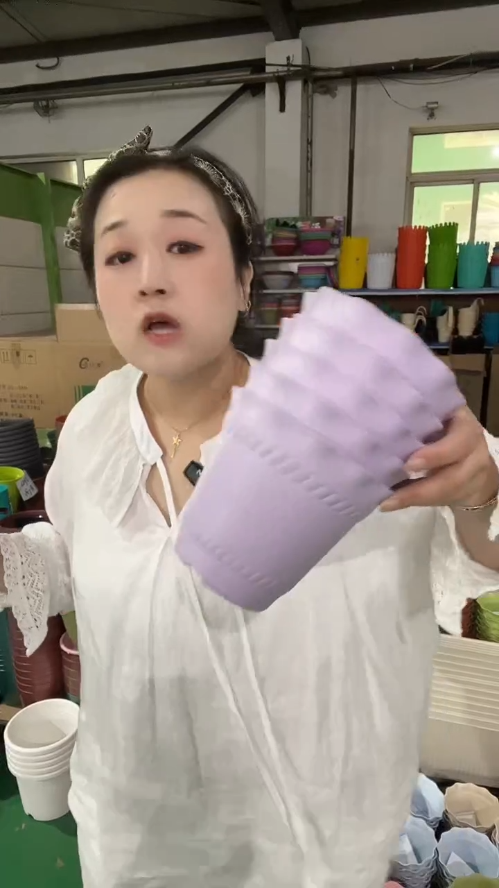 5个罗马盆3号盆无托，5紫色