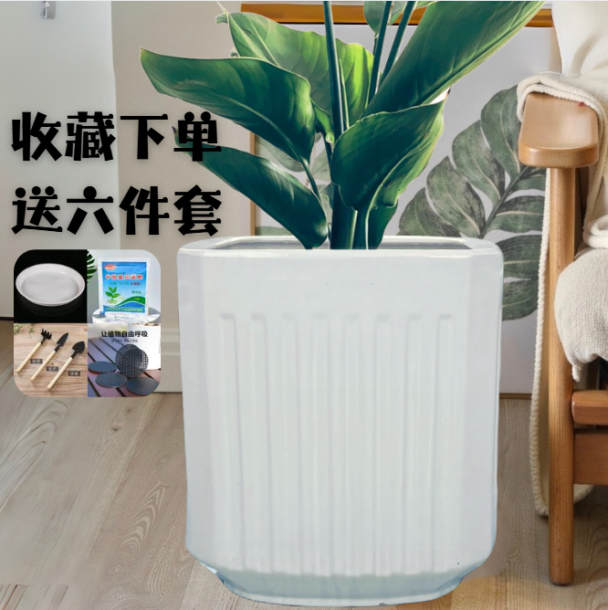 四方纯白北欧风大花盆陶瓷落地花盆量天尺龟背竹天堂鸟客厅门店用