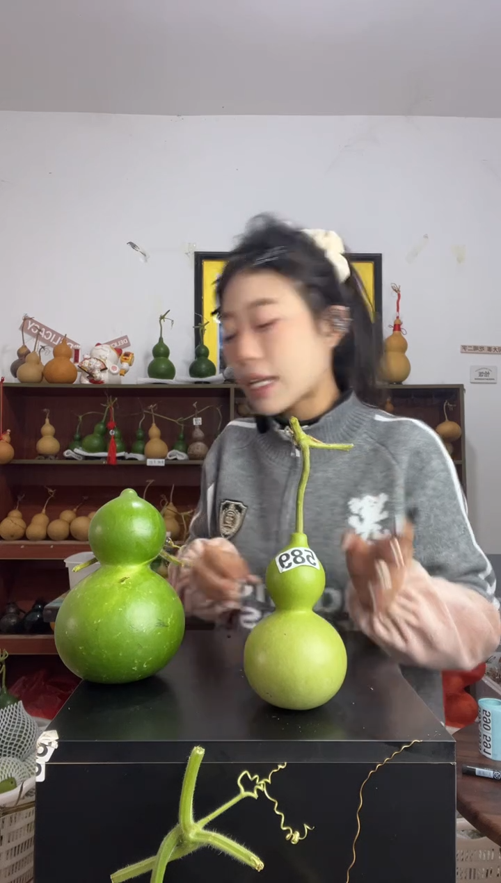 589天然葫芦摆件 一物一拍龙头不保售后