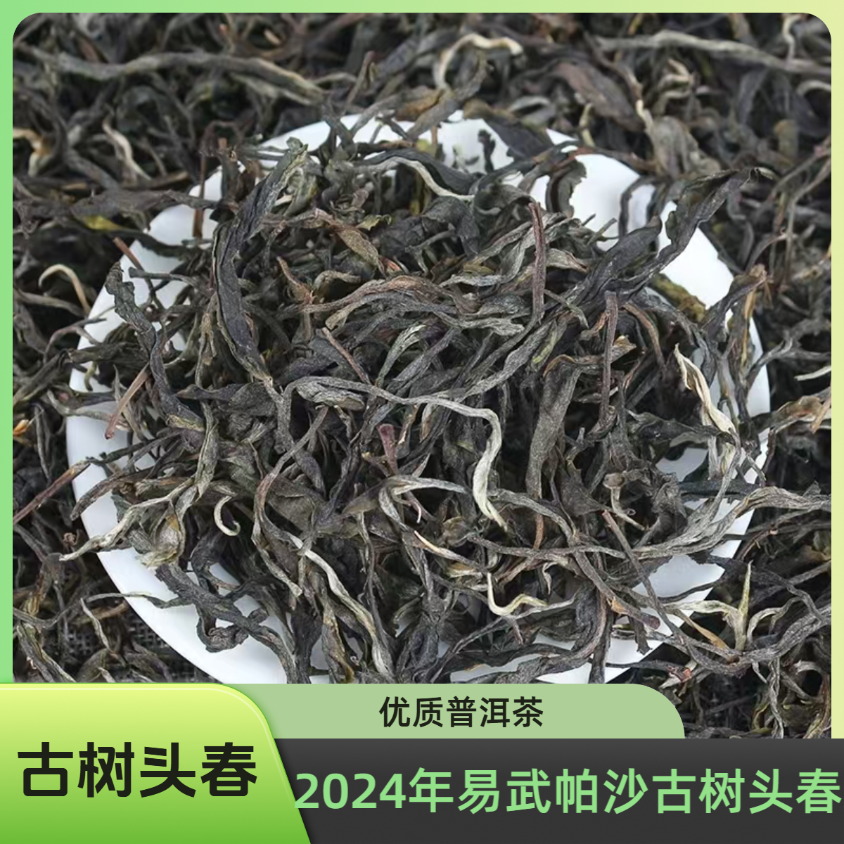 GS-2024年易武帕沙古树头春生茶散料/普洱生茶散料