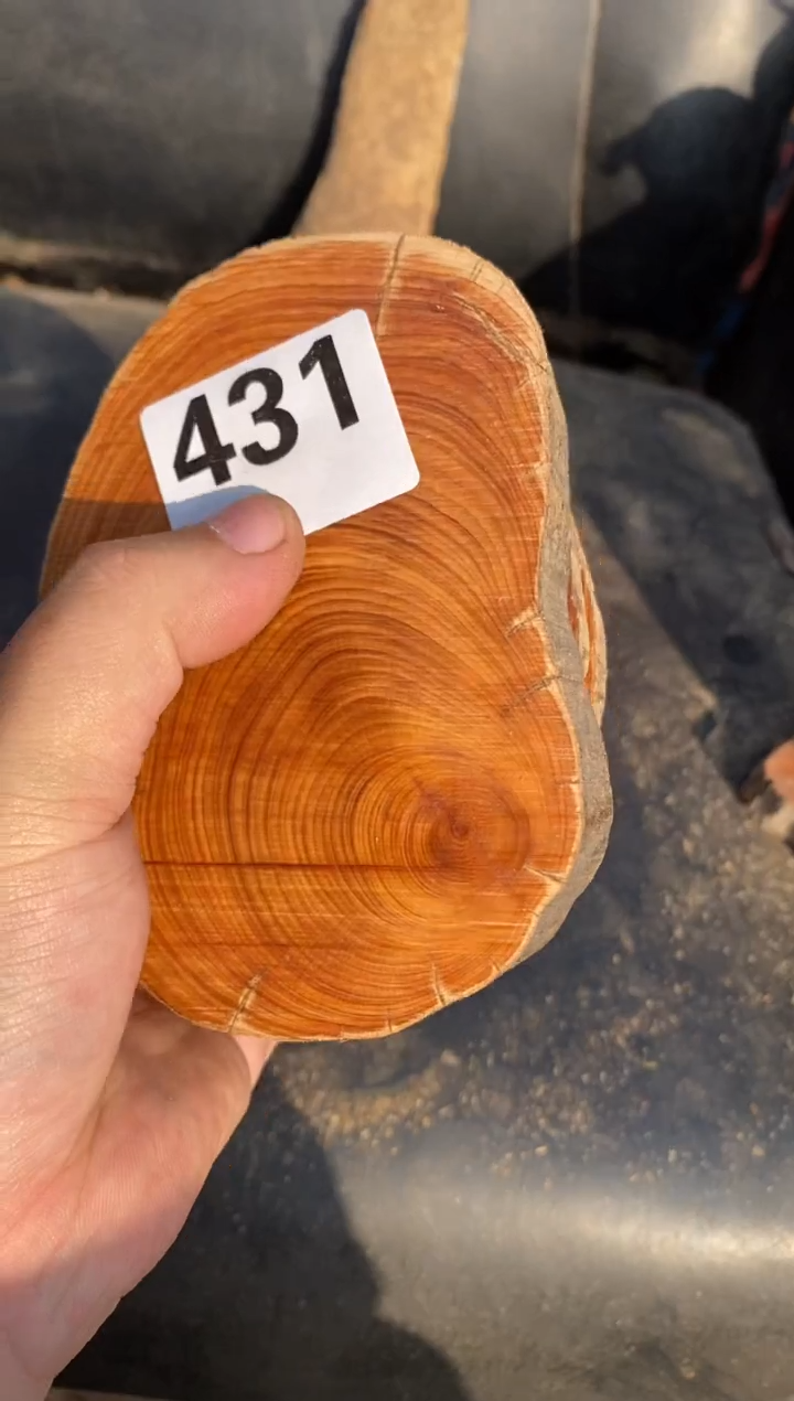 柏木（崖柏）太行陈化崖柏切片！随机（1单1片）431