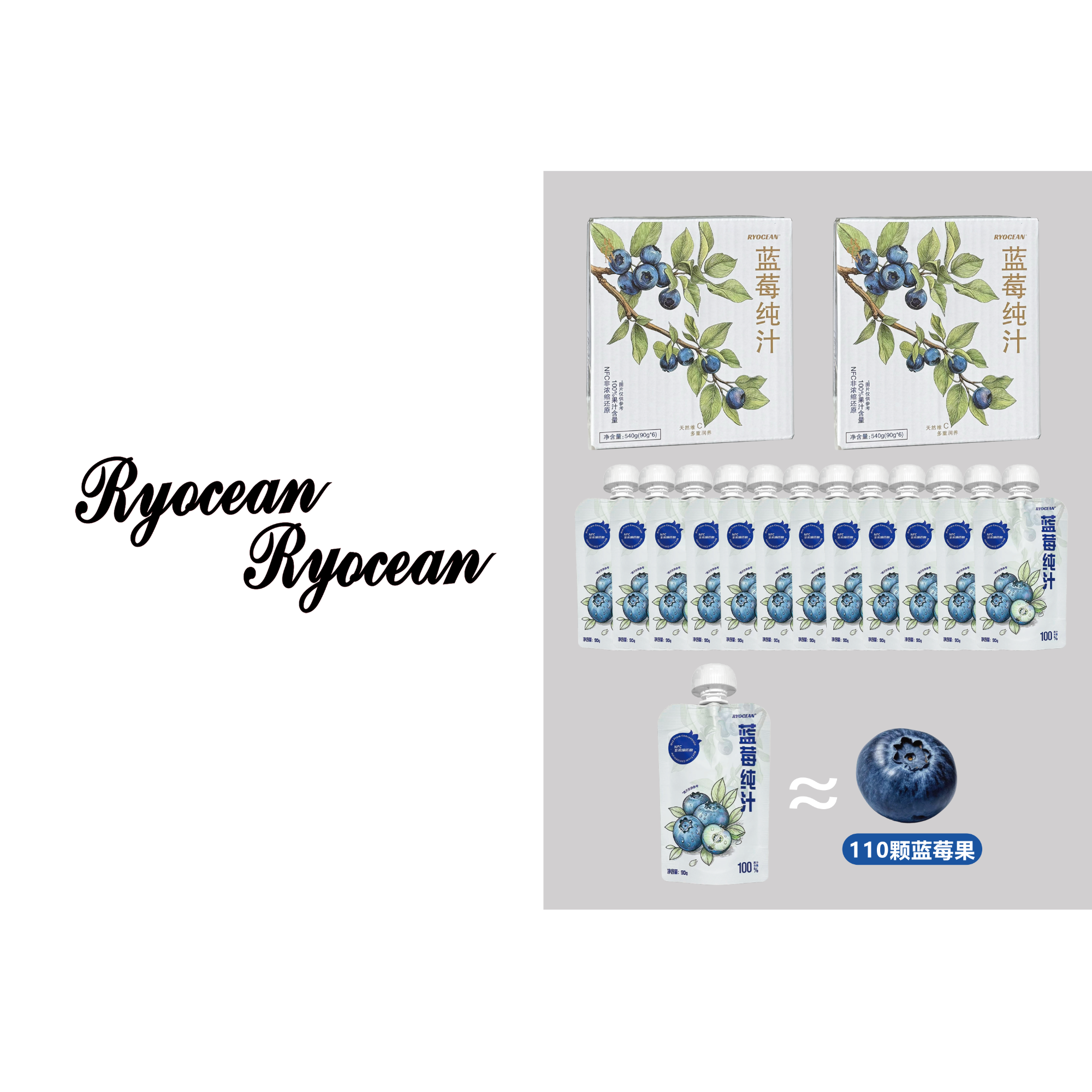 RYOCEAN 蓝莓纯汁原浆原液果汁饮料（拆箱no退）