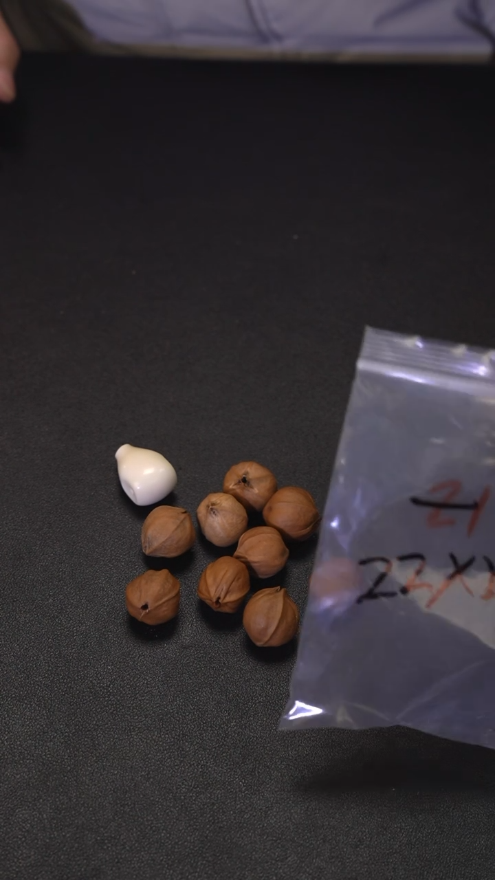 手串/手链橄榄核......2224梅林铁核