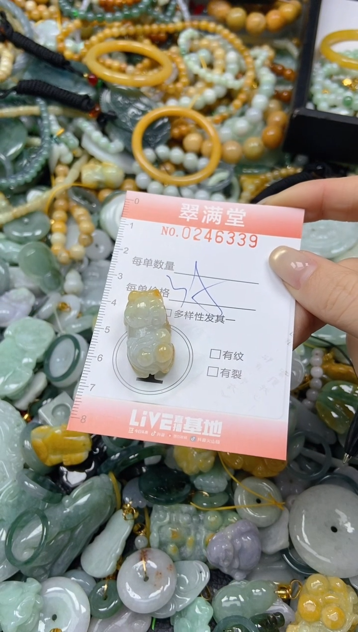 颈饰未镶嵌翡翠闪购0246339