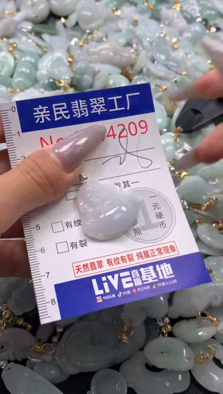 颈饰未镶嵌翡翠4209