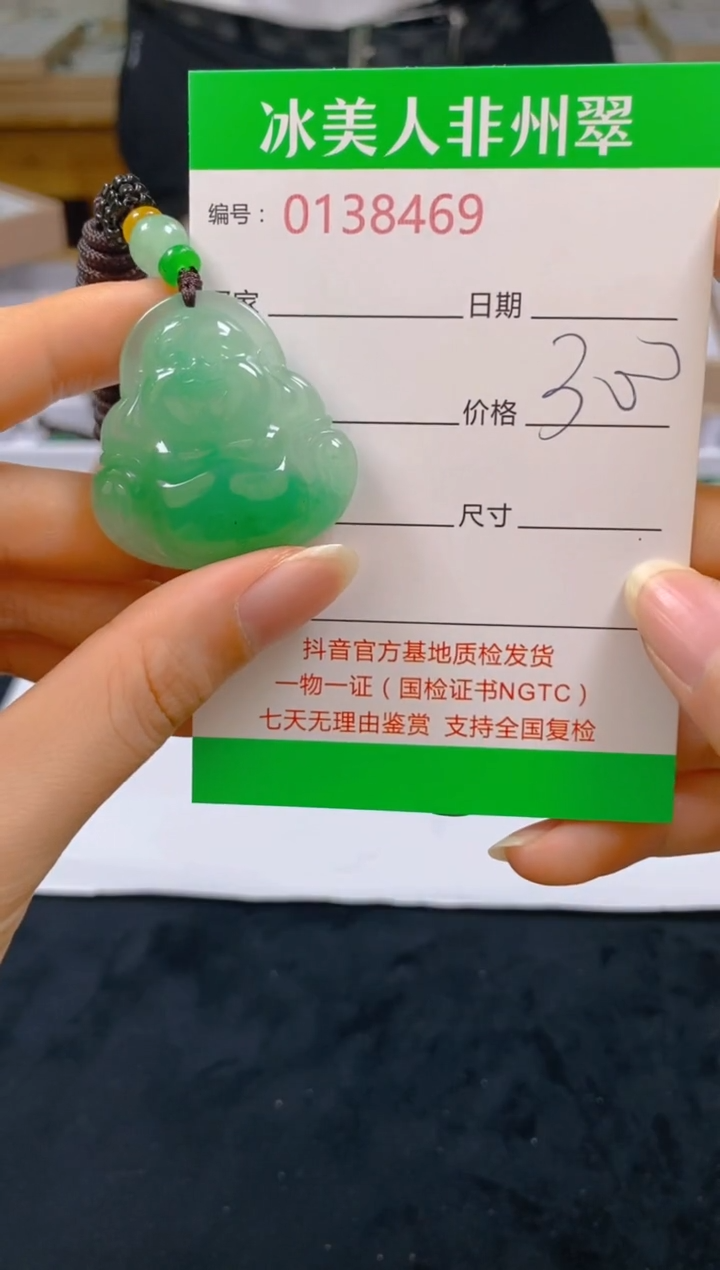 石英质玉未镶嵌颈饰469