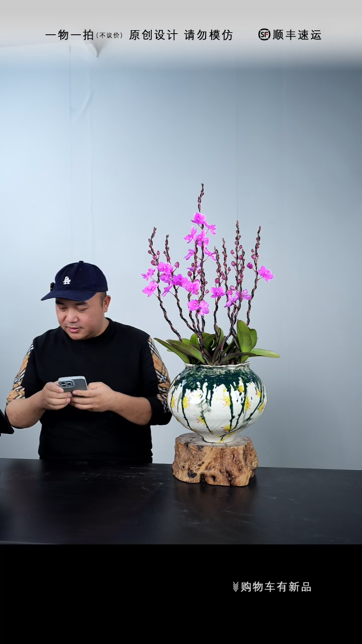 【闪购商品】052号链接【一物一拍】艺术盆景