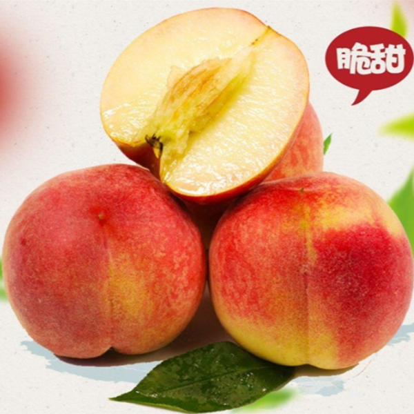水蜜桃毛桃新鲜现摘硬吃香甜营养当季水果脆爽多汁坏果包赔