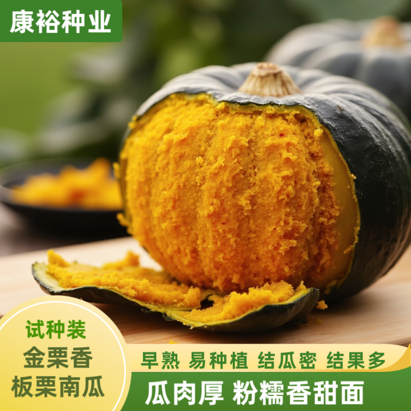 【康裕种业】金香栗绿板栗/白板栗南瓜种子又面又甜蔬菜种子