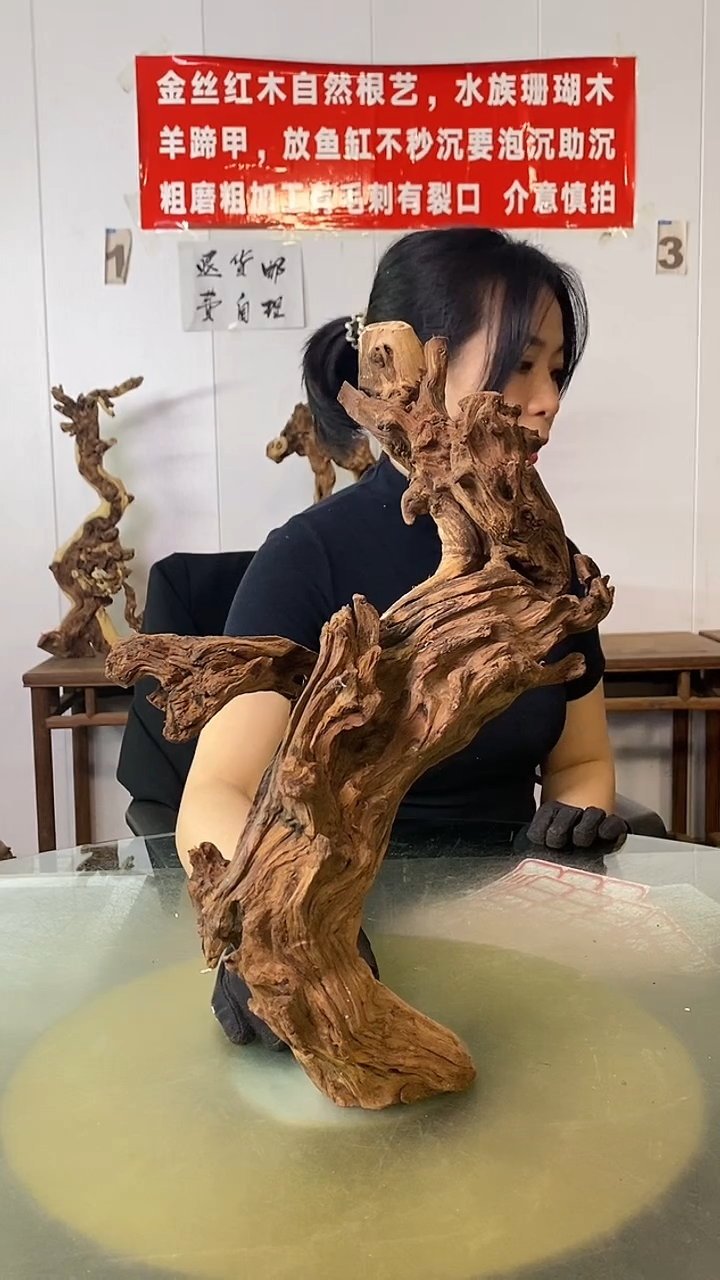 木阳**️金丝红木 羊蹄甲