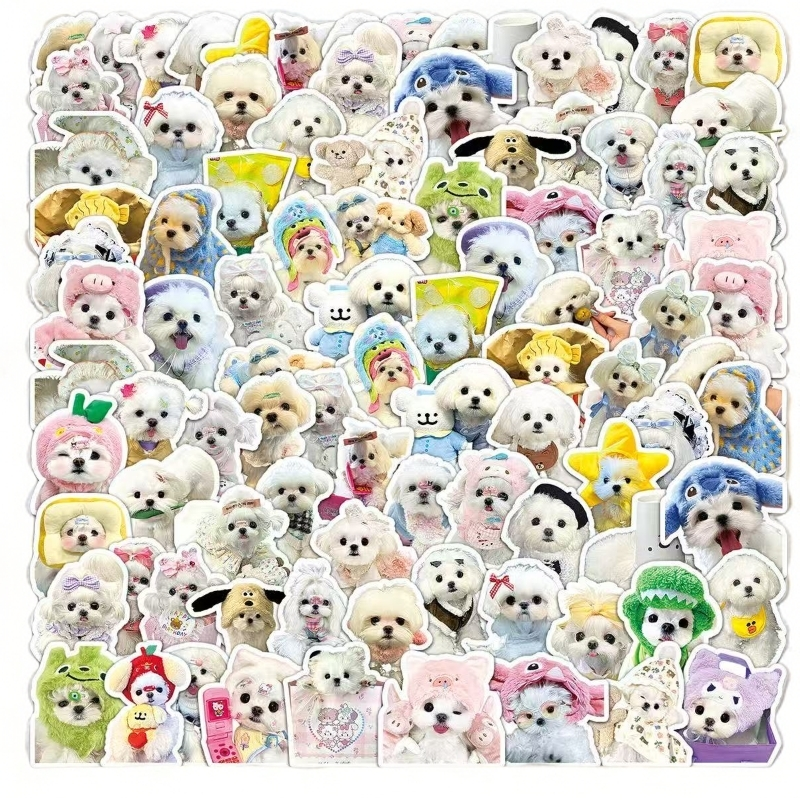 博美幼犬俊介茶杯犬可爱田犬比熊型犬袖珍宠物混血不大粘人