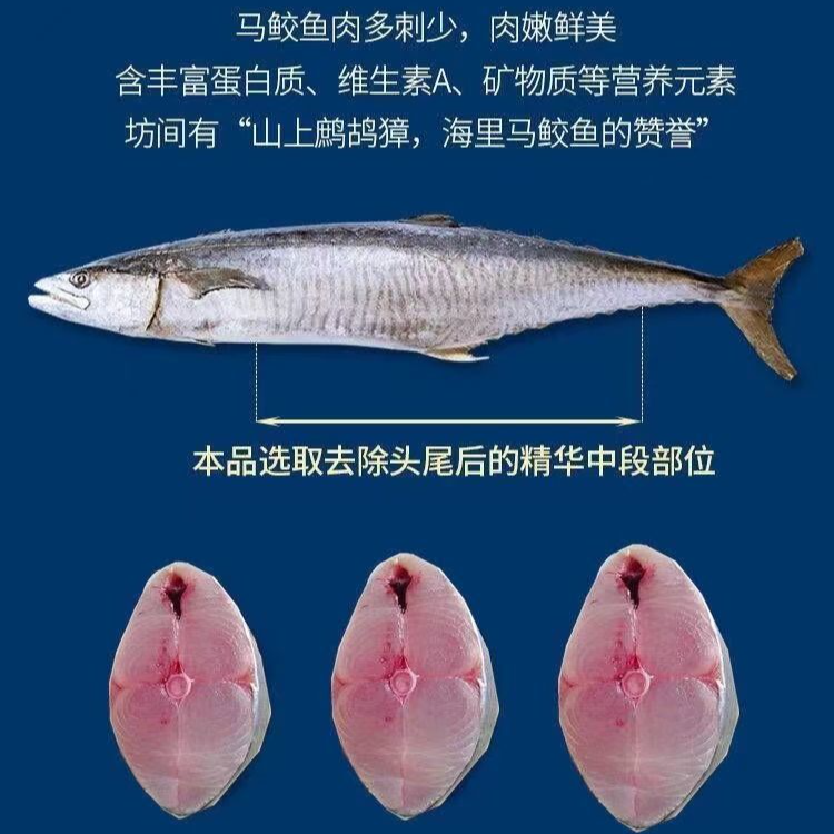 新鲜速冻康氏马鲛海南深海渔场特大号马鲛鱼海鲜5斤/6斤/7斤/8斤/9斤10斤顺丰京东包邮