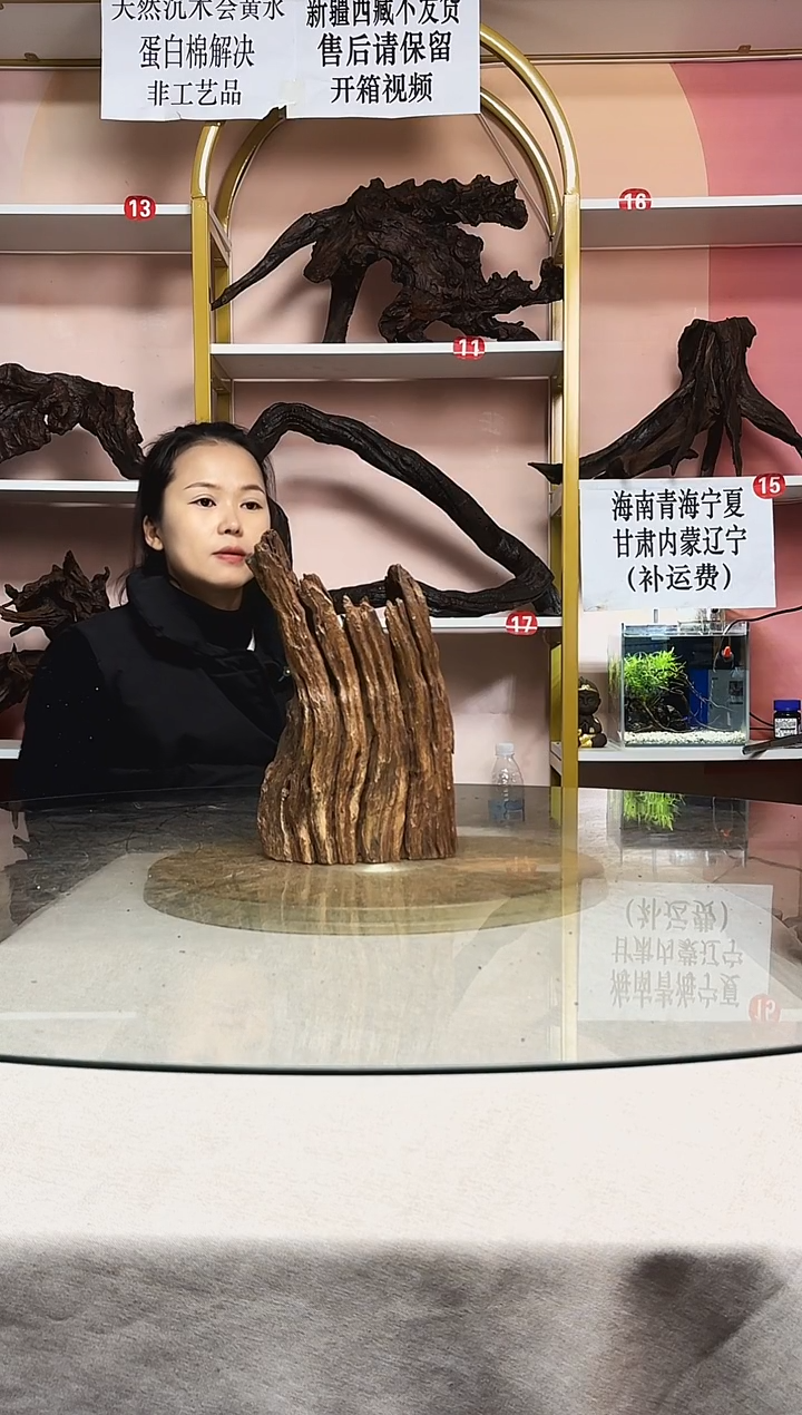 比*丘鱼缸造景沉木A913