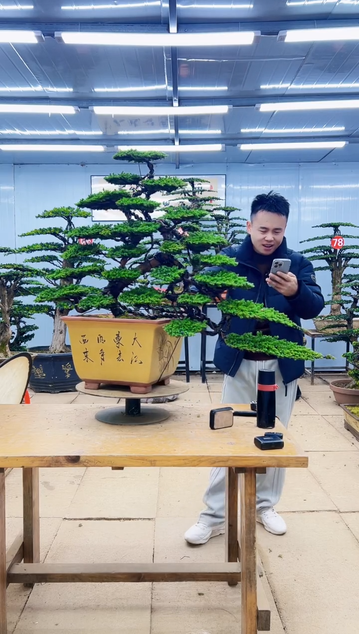 0000000000000000000000