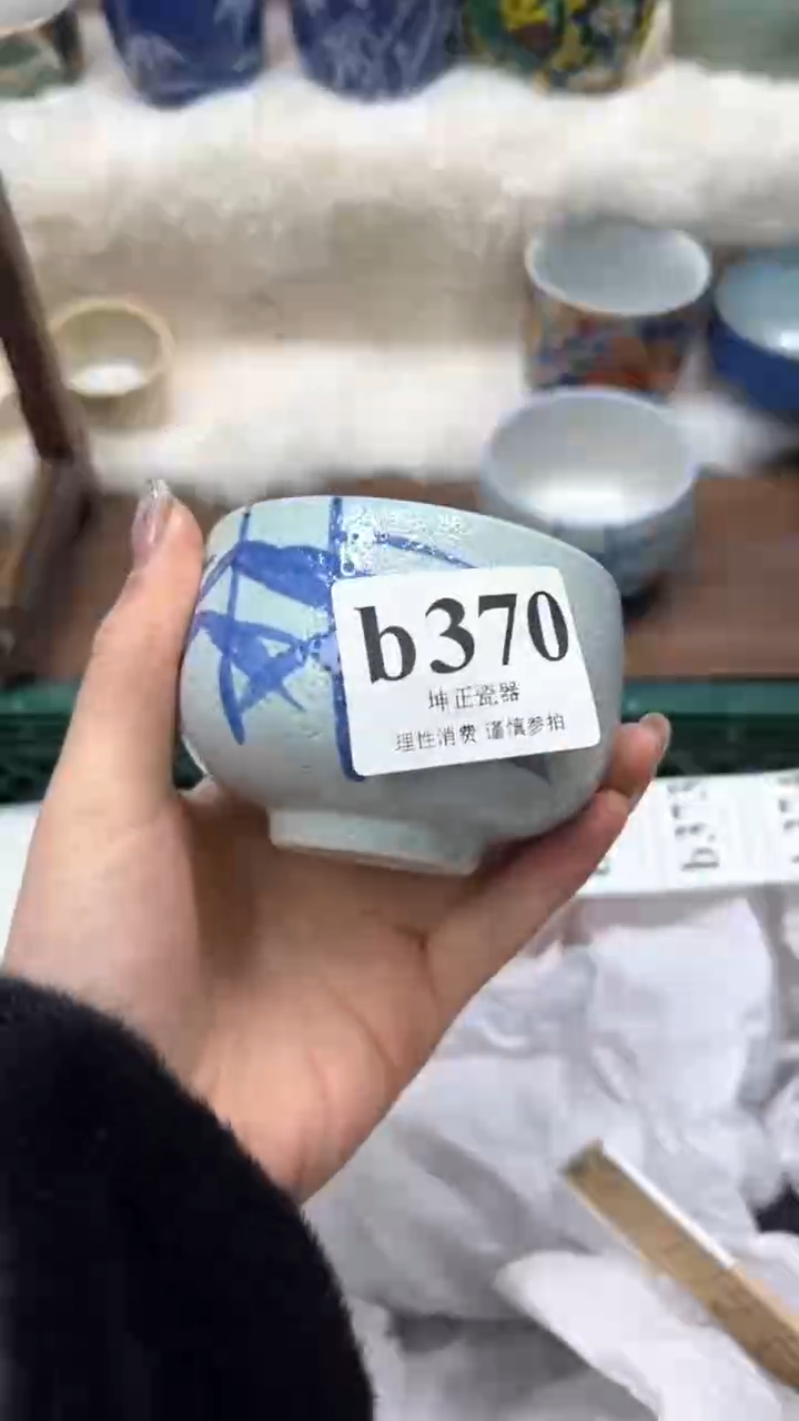 【闪购商品】瓷片          b370