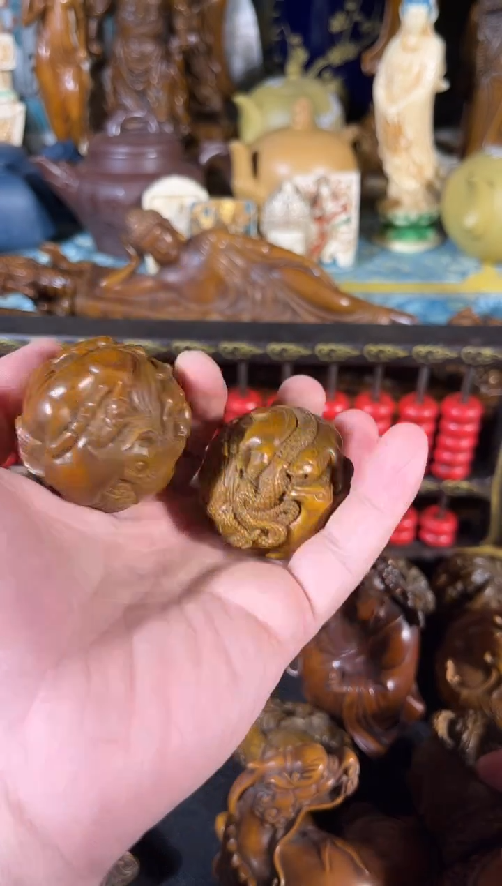 黄杨木1111111111111111111