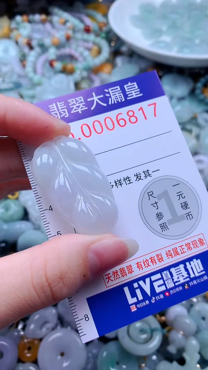 翡翠未镶嵌吊坠(不含链)6817