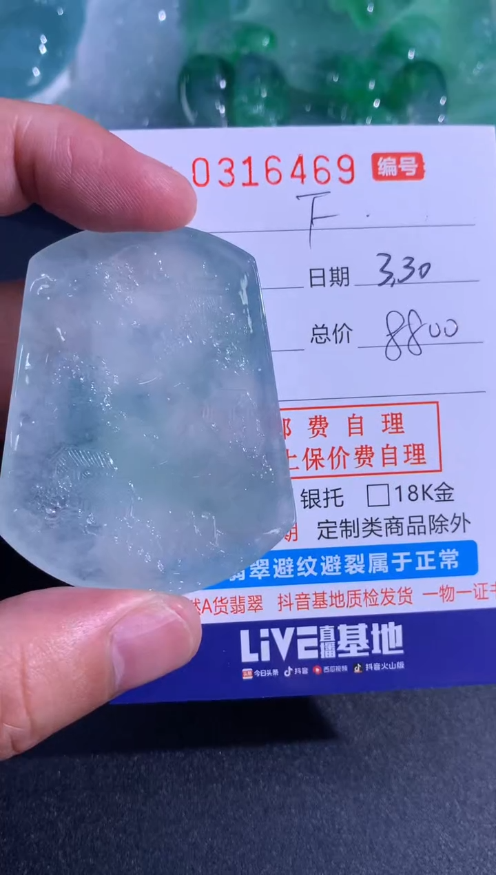 翡翠未镶嵌颈饰（欢乐）
