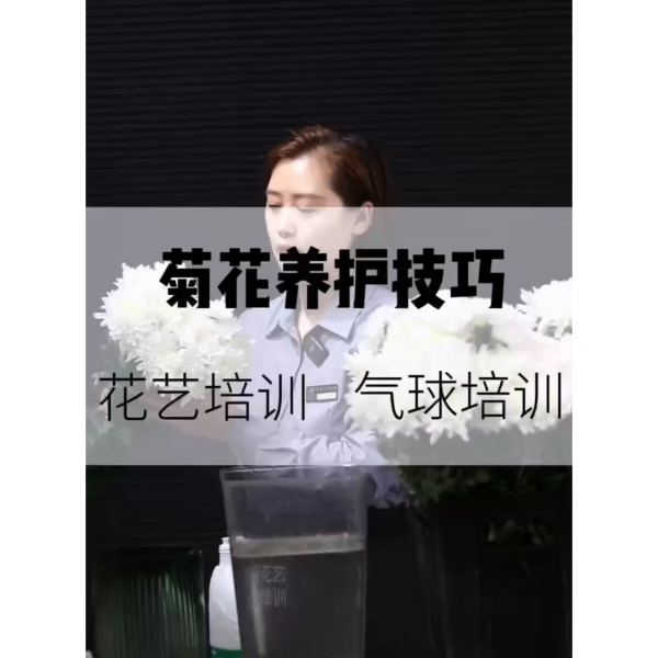 花材养护篇：菊花延长花期技巧