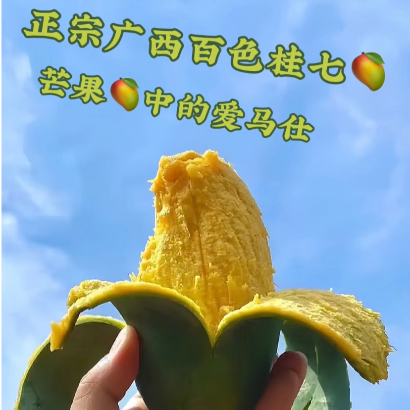 正宗广西百色芒果果园桂七芒果网红水果产地直发特大3/8斤批发价